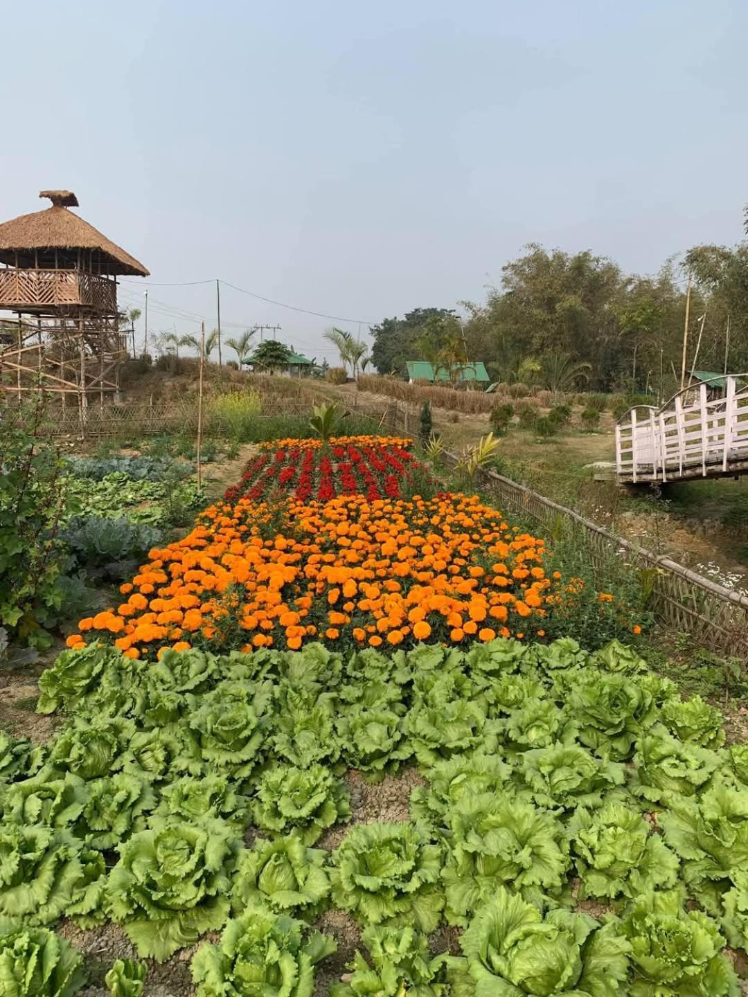 Bogibil Eco Resort New Дибругарх Экстерьер фото