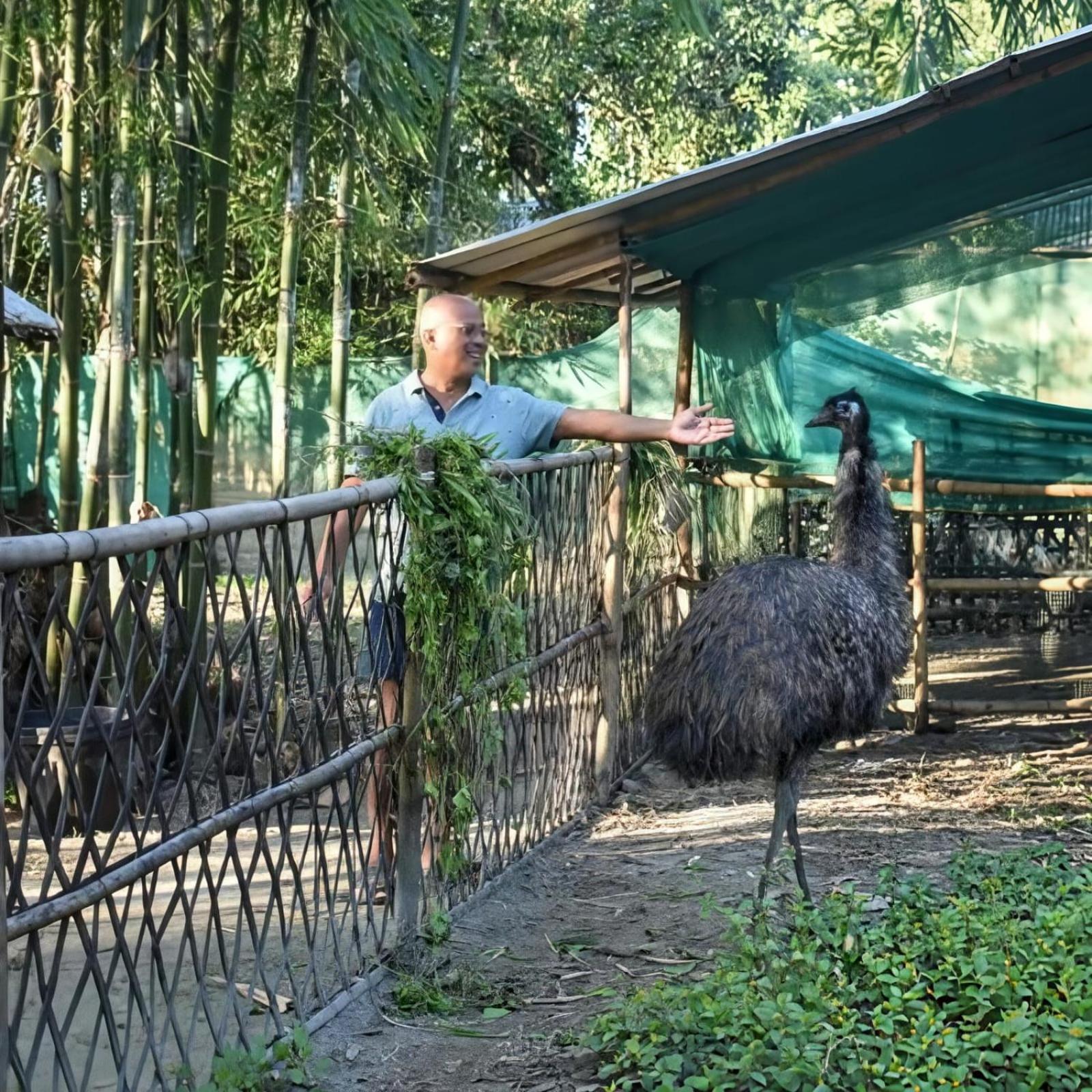 Bogibil Eco Resort New Дибругарх Экстерьер фото